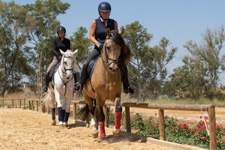 Spain-Southern Spain-Classical Dressage Clinic - in Southern Spain